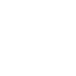 VP
